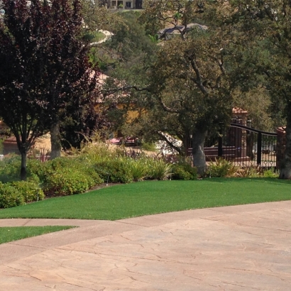 Synthetic Lawn Kit Carson, Colorado Lawn And Garden, Backyard