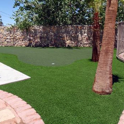 Synthetic Lawn Laporte, Colorado Landscape Design, Backyard Ideas