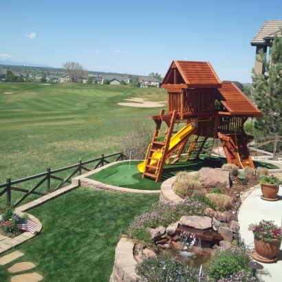 Synthetic Lawn Morrison, Colorado Design Ideas, Backyard Landscaping