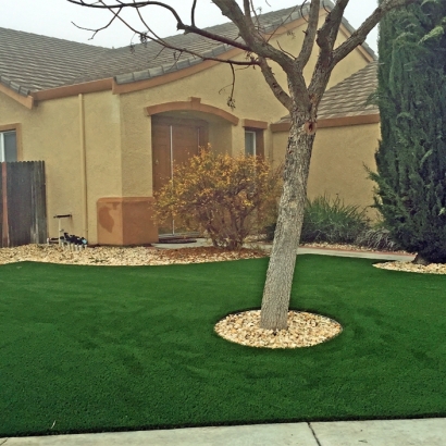 Synthetic Lawn Paoli, Colorado Gardeners, Front Yard Landscaping Ideas