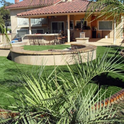 Synthetic Turf Catherine, Colorado Landscape Design, Backyard Landscaping Ideas