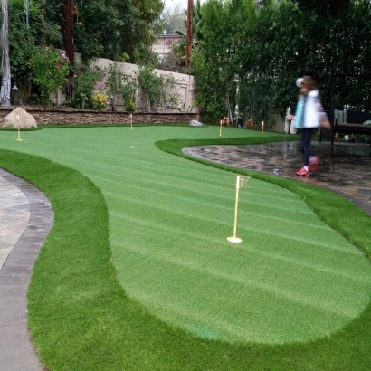 Synthetic Turf Deer Trail, Colorado Landscape Ideas, Backyard Landscape Ideas