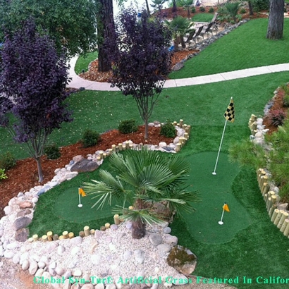 Synthetic Turf Denver, Colorado Landscape Ideas, Backyard Ideas