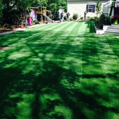 Synthetic Turf La Jara, Colorado Landscape Photos, Backyard Designs