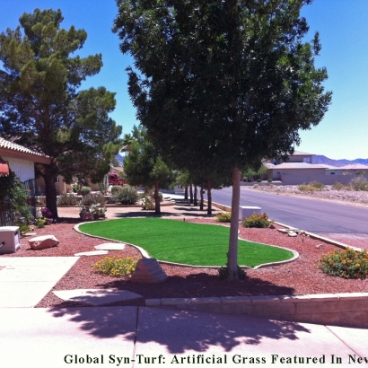 Synthetic Turf Lakeside, Colorado Rooftop, Front Yard Design