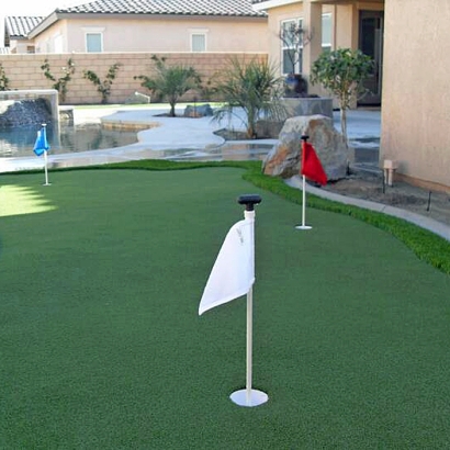 Synthetic Turf Snowmass Village, Colorado Putting Green Grass, Small Backyard Ideas