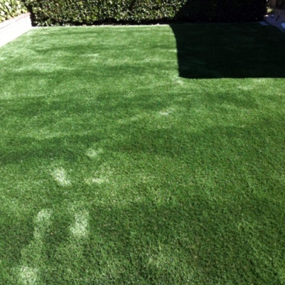 Synthetic Turf Supplier Castle Pines North, Colorado City Landscape, Backyard Garden Ideas