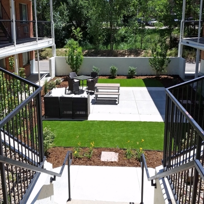 Synthetic Turf Supplier Crisman, Colorado Dog Parks, Backyard Landscape Ideas