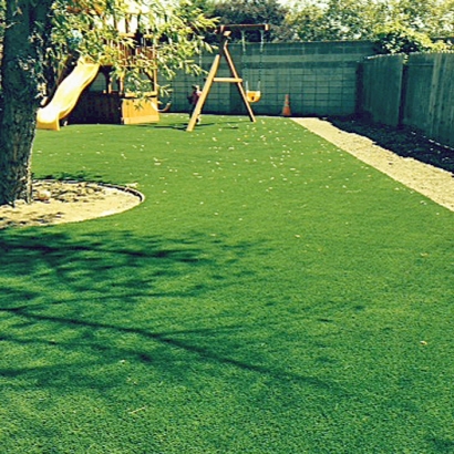 Synthetic Turf Supplier Kit Carson, Colorado Landscaping, Backyard