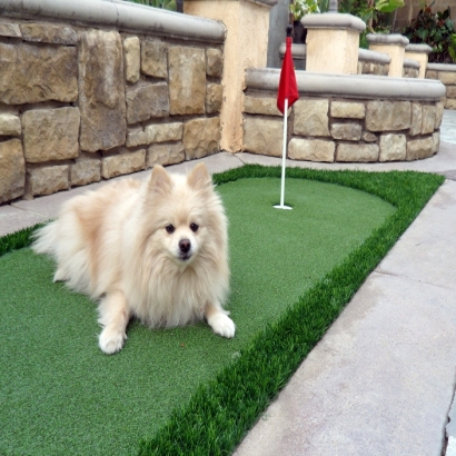 Synthetic Turf Supplier Marble, Colorado Putting Green Carpet, Backyard Makeover