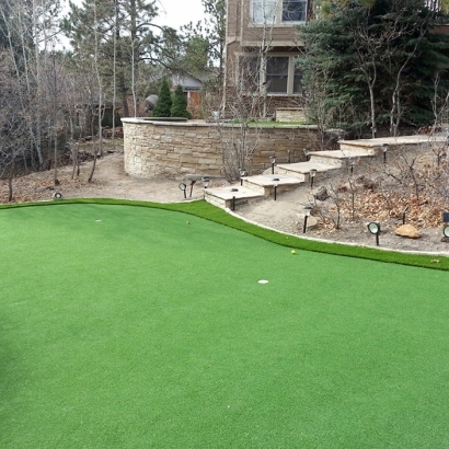 Synthetic Turf Supplier Maysville, Colorado Putting Green Grass, Backyard Designs