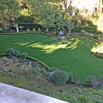 Synthetic Turf Supplier Paonia, Colorado Hotel For Dogs, Backyard Landscaping Ideas