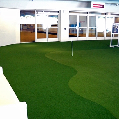 Synthetic Turf Supplier Ward, Colorado City Landscape, Commercial Landscape