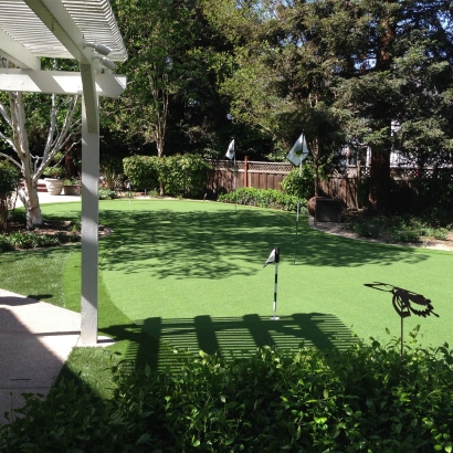 Turf Grass Battlement Mesa, Colorado Landscaping