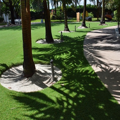 Turf Grass Garden City, Colorado Lawn And Landscape, Commercial Landscape