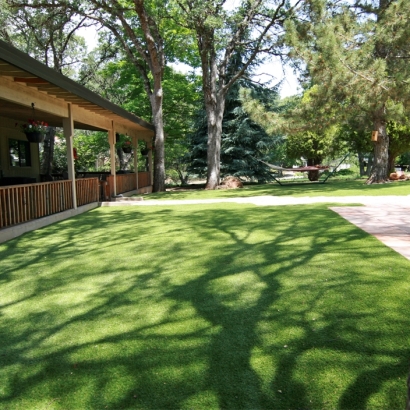 Turf Grass Yampa, Colorado Backyard Playground, Backyard Landscaping Ideas