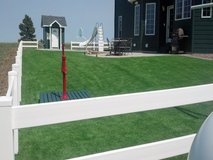 Artificial Grass Carpet Crested Butte, Colorado Landscape Ideas, Front Yard Landscape Ideas