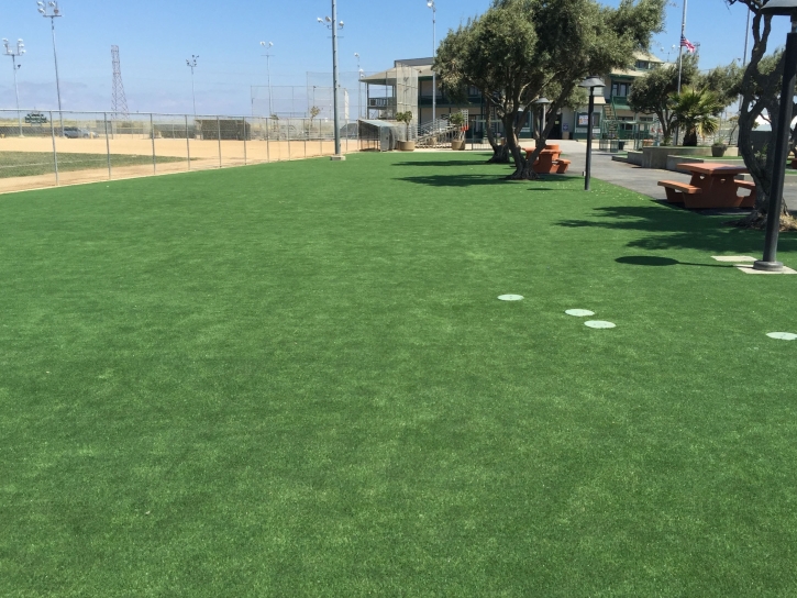 Artificial Grass Carpet Delta, Colorado Paver Patio, Recreational Areas