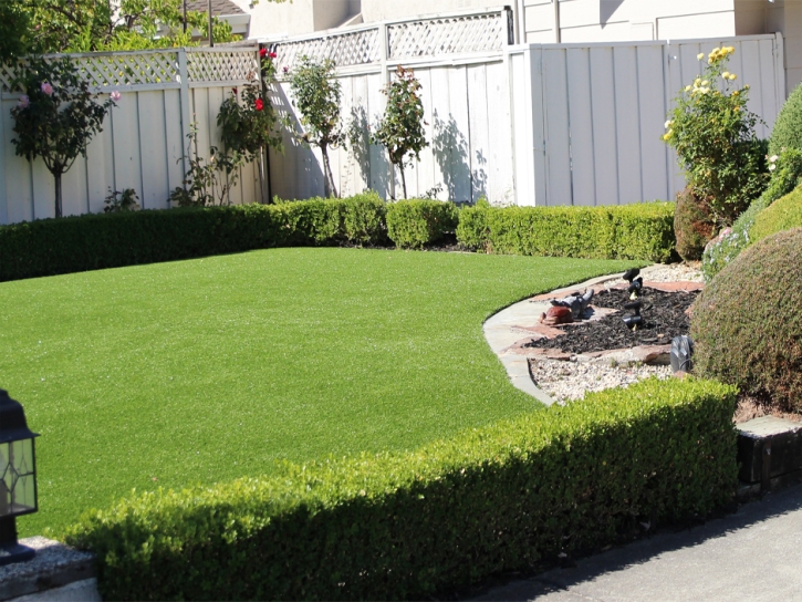 Artificial Grass Carpet Durango, Colorado Rooftop, Front Yard Ideas