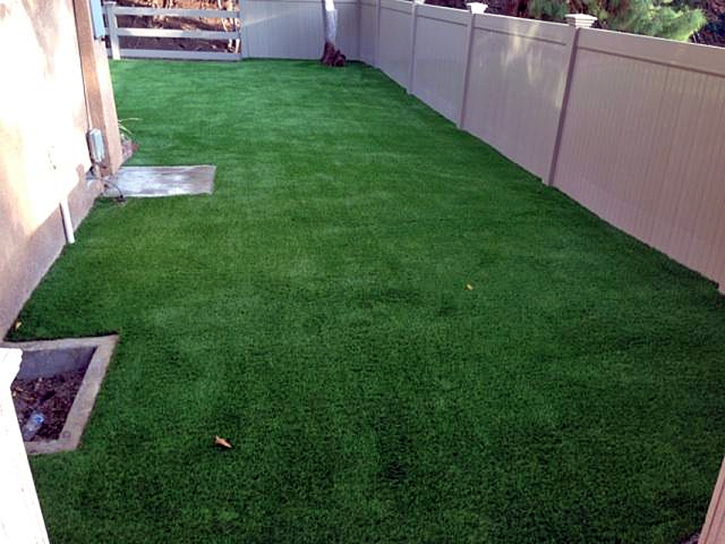 Artificial Grass Carpet Security-Widefield, Colorado Dog Park, Backyard