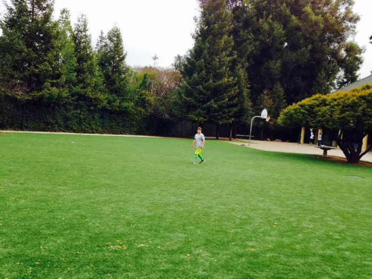 Artificial Grass Cathedral, Colorado Football Field, Parks