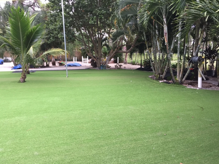 Artificial Grass Cedaredge, Colorado Garden Ideas, Commercial Landscape