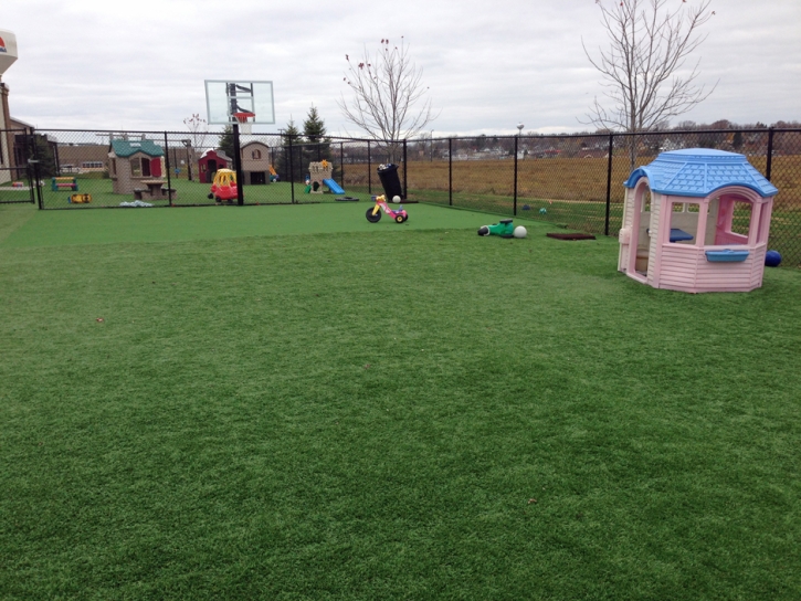 Artificial Grass Red Cliff, Colorado Indoor Playground, Commercial Landscape