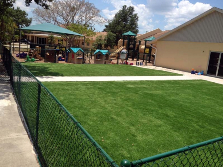 Artificial Grass Stratton, Colorado Lawn And Landscape, Commercial Landscape