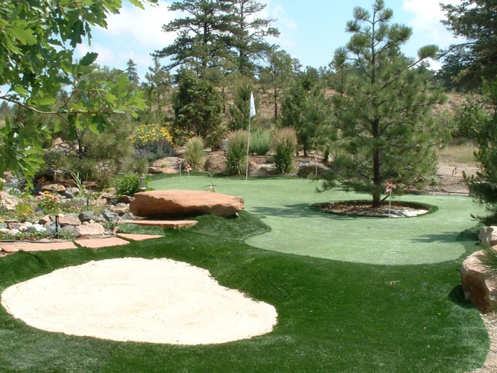 Artificial Lawn Center, Colorado Indoor Putting Greens, Backyard Ideas