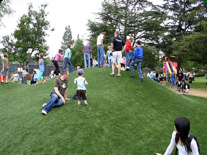 Artificial Lawn De Beque, Colorado Paver Patio, Parks