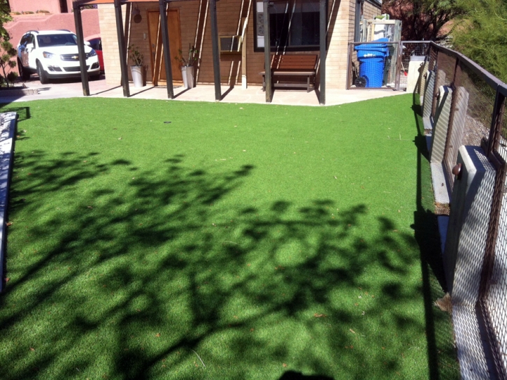Artificial Lawn Kirk, Colorado Lawn And Landscape, Backyard Ideas