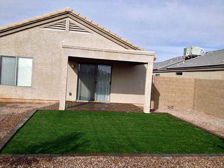 Artificial Lawn Lincoln Park, Colorado Watch Dogs, Backyard Ideas