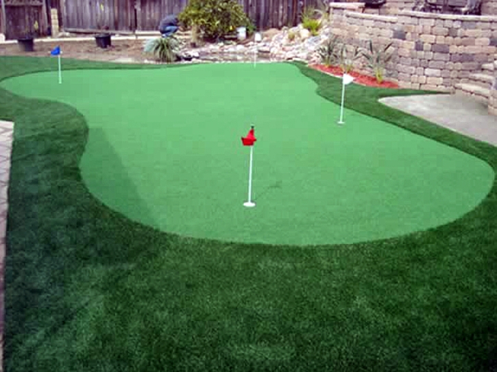 Artificial Lawn Prospect Heights, Colorado Artificial Putting Greens, Backyard Landscaping Ideas