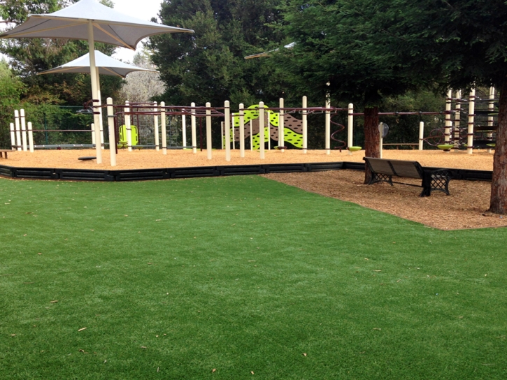 Artificial Turf Collbran, Colorado Athletic Playground, Backyards