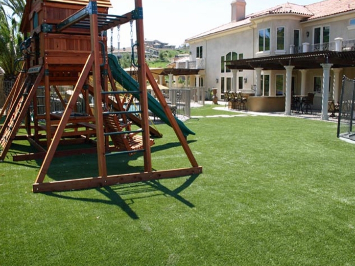 Artificial Turf Cost Bark Ranch, Colorado Lawn And Landscape, Beautiful Backyards