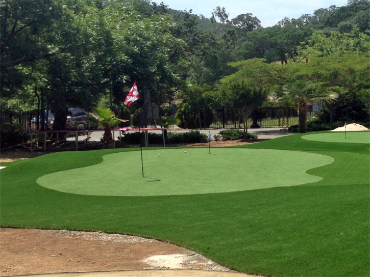 Artificial Turf Cost Boone, Colorado Artificial Putting Greens, Front Yard Landscaping