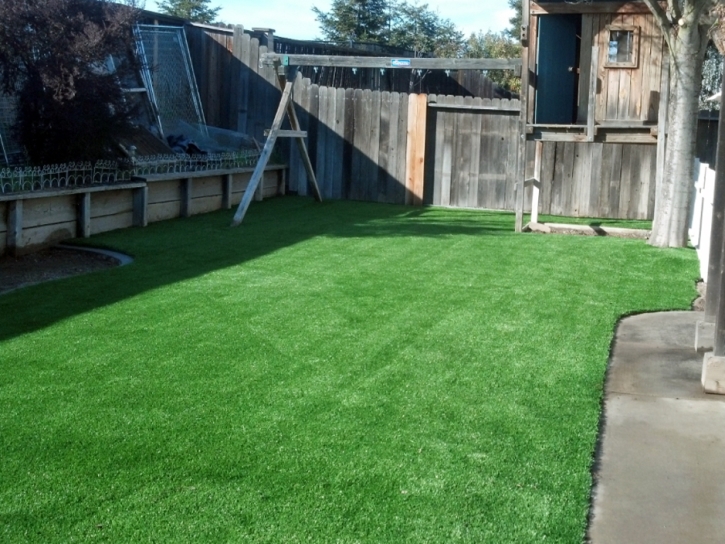 Artificial Turf Cost Cokedale, Colorado Landscaping Business, Backyard Landscaping