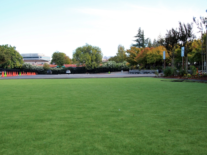 Artificial Turf Cost Sawpit, Colorado Playground Safety