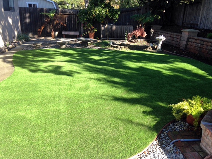 Artificial Turf Crestone, Colorado Pet Paradise, Backyard Landscaping