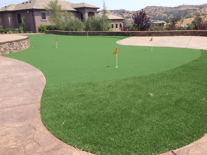 Artificial Turf Gunnison, Colorado Gardeners