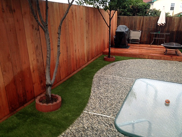 Artificial Turf Installation Carbondale, Colorado Lawn And Garden, Backyard Ideas