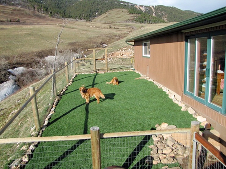 Artificial Turf Installation Gunbarrel, Colorado Drainage, Backyard Ideas