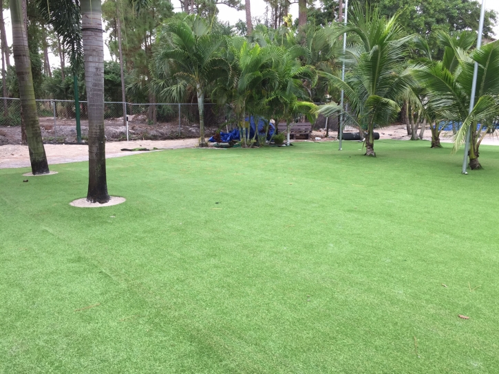 Artificial Turf Installation Sheridan Lake, Colorado Home And Garden, Commercial Landscape