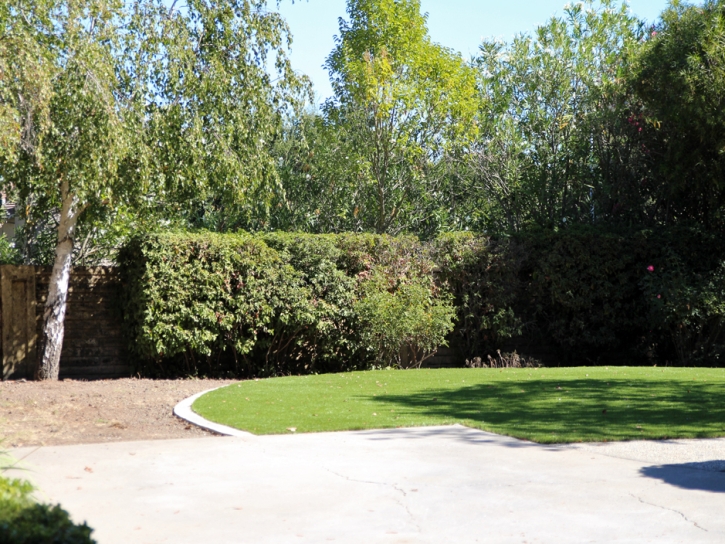 Artificial Turf Mountain Village, Colorado Backyard Playground, Backyard Landscape Ideas