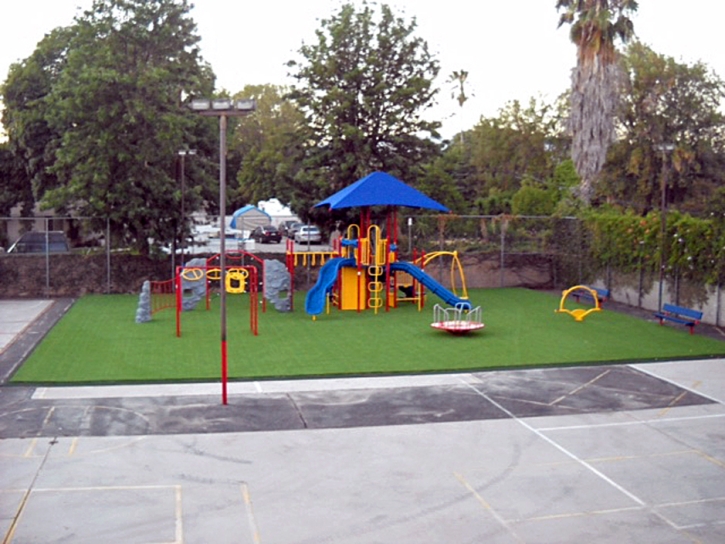 Artificial Turf Sedalia, Colorado Lacrosse Playground, Commercial Landscape