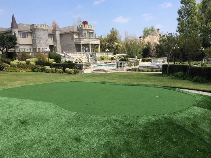 Best Artificial Grass Columbine, Colorado How To Build A Putting Green, Front Yard