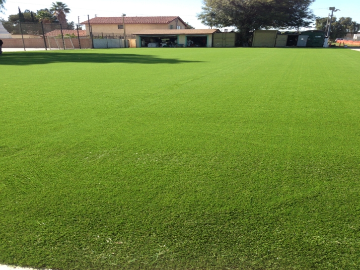 Fake Grass Allenspark, Colorado Landscaping Business, Recreational Areas