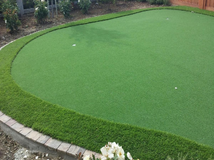 Fake Grass Carpet Salida, Colorado Putting Greens, Small Backyard Ideas