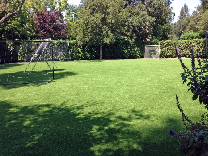 Fake Grass Parshall, Colorado Rooftop, Small Backyard Ideas