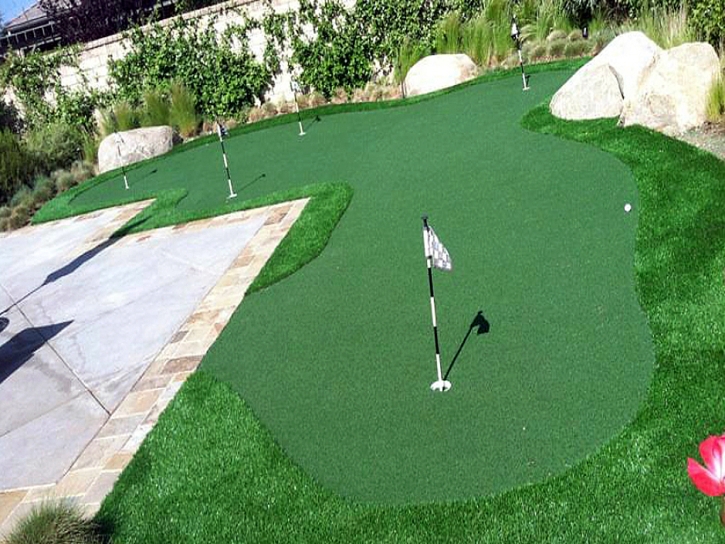 Fake Grass Vail, Colorado Artificial Putting Greens, Backyards